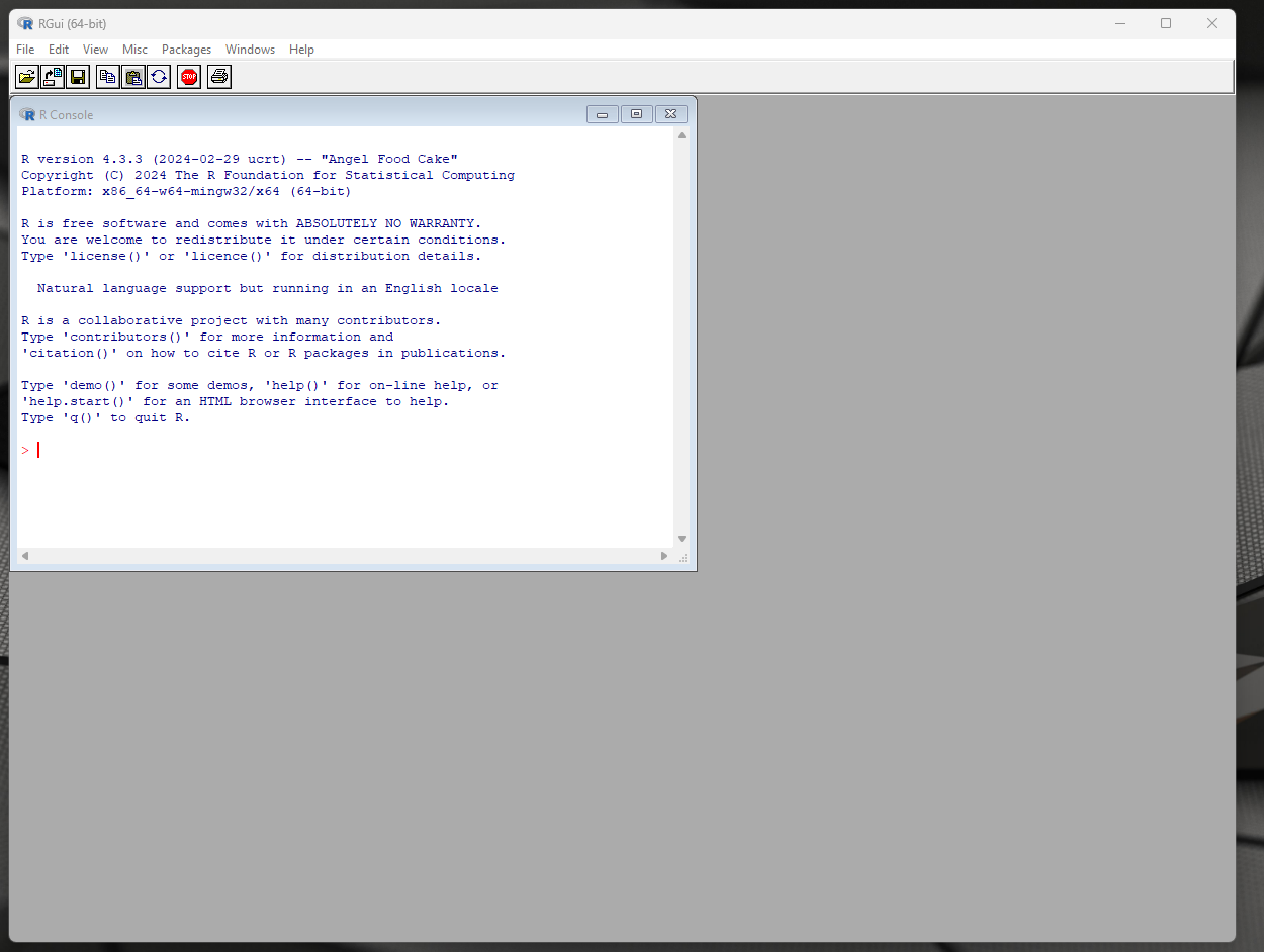 Screenshot of R GUI